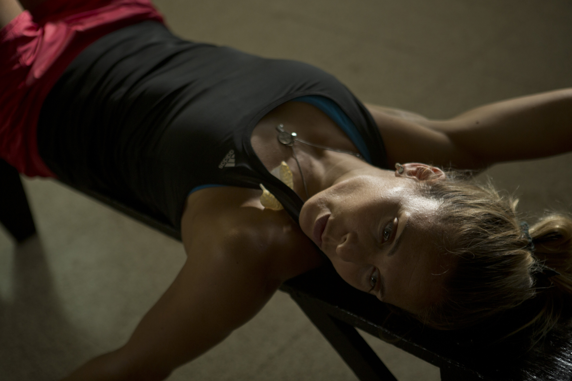 Las leonas - fotografía 2