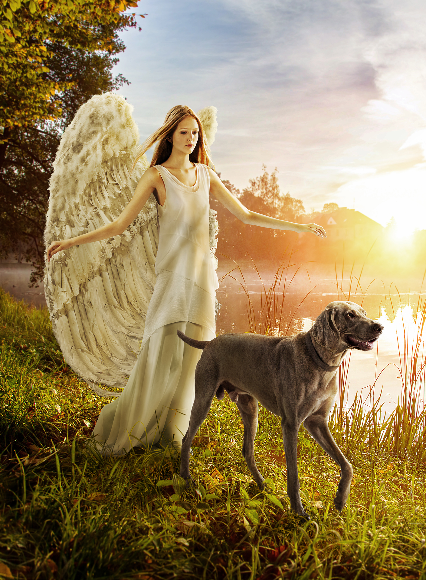 Pfizer - angel con sabueso atardecer en el parque